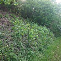 Zustand am 9.5.2026