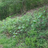 Zustand am 9.5.2026