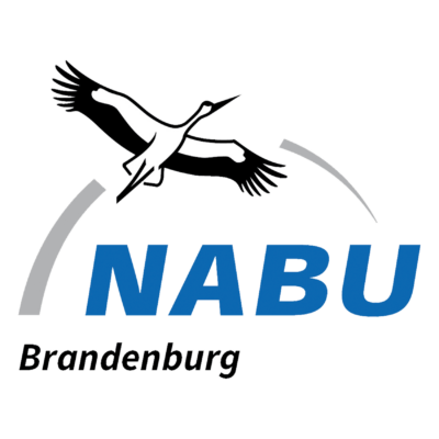 Logo des NABU Brandenburg
